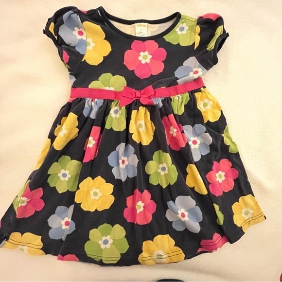 Gymboree Showers of Flowers Cotton Dress - Picture 1 of 4